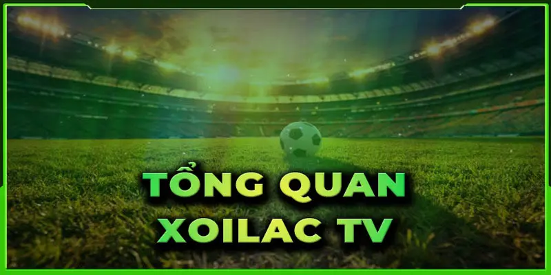 Xoilac tv là sự lựa chọn lý tưởng cho tín đồ thể thao