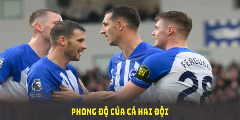 Để soi kèo Brighton vs Everton chính xác, cần xem xét phong độ của cả hai đội