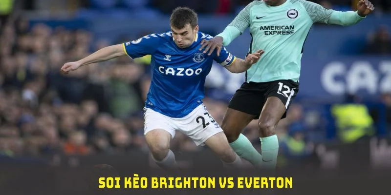 soi kèo brighton vs everton tại xôi lạc tv